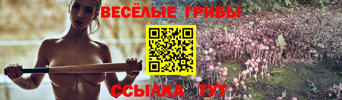 Псилоцибиновые грибы MAGIC MUSHROOMS  Псилоцибиновые грибы Psilocybine cubensis  наркота  Вход с VPN  Воскресенск 